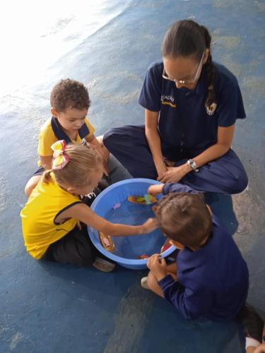 Cultura Indígena - Ed. Infantil